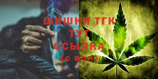 хмурый Липки