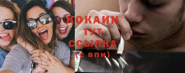 хмурый Липки