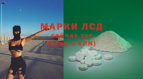 хмурый Липки