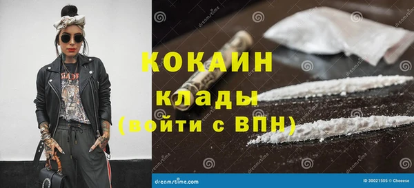 спиды Лиски